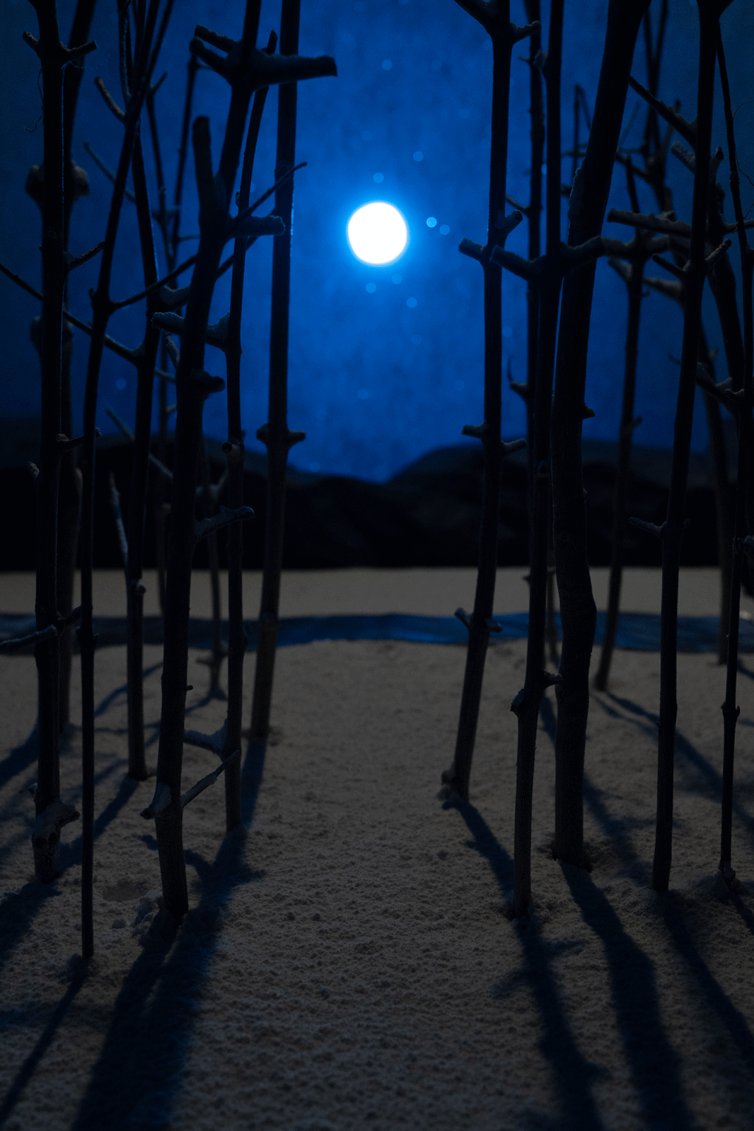 A snowy pathway lined with bare trees under a bright full moon. The moonlight casts long shadows of the tree branches on the snow, and the sky is a deep, starry blue.