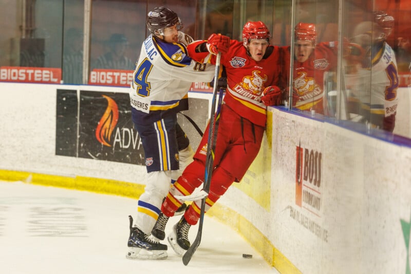 Two ice hockey players in action, wearing protective gear. The player in white and blue is checking the player in red against the glass. They are on a rink with advertisements visible on the boards.