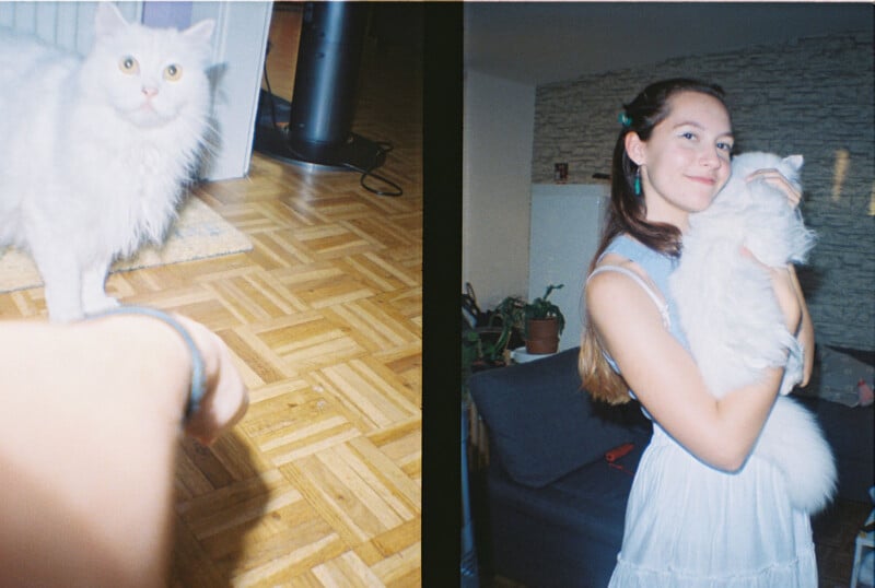 A two-panel image: the first panel shows a fluffy white cat on a wooden floor looking at the camera; the second panel features a woman in a blue dress holding the same cat, smiling while indoors near a couch and plants.