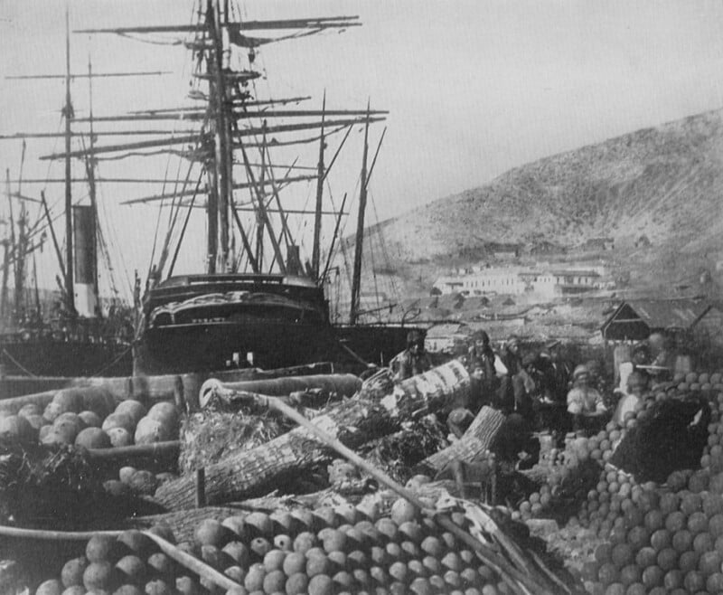 A historic black and white photo of a harbor filled with sailing ships. Cannonballs and large anchors are scattered in the foreground. Hills and buildings are visible in the background. The scene is bustling with maritime activity.