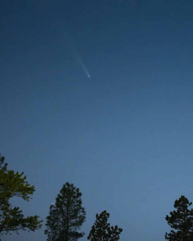 A comet streaks across a clear night sky, leaving a bright tail. The scene is framed by silhouetted pine trees in the foreground, creating a serene, natural atmosphere.