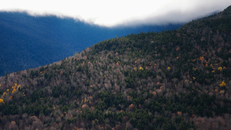 A hillside covered in dense forest, showcasing a mix of evergreen and bare trees with some autumn colors. The sky is mostly cloudy, with the clouds casting shadows over the landscape.