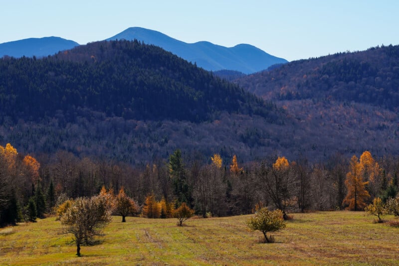 A scenic landscape with rolling hills covered in autumn foliage, featuring trees with shades of orange and brown. Blue mountains rise in the background under a clear sky.