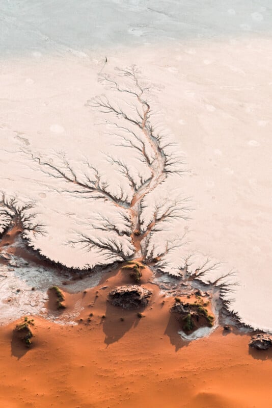 Aerial view of a tree-like pattern formed by dark cracks spreading across a pale, dry surface, meeting an orange-brown earthy area. The intricate network resembles branches extending from a central trunk. Sparse green patches dot the landscape.