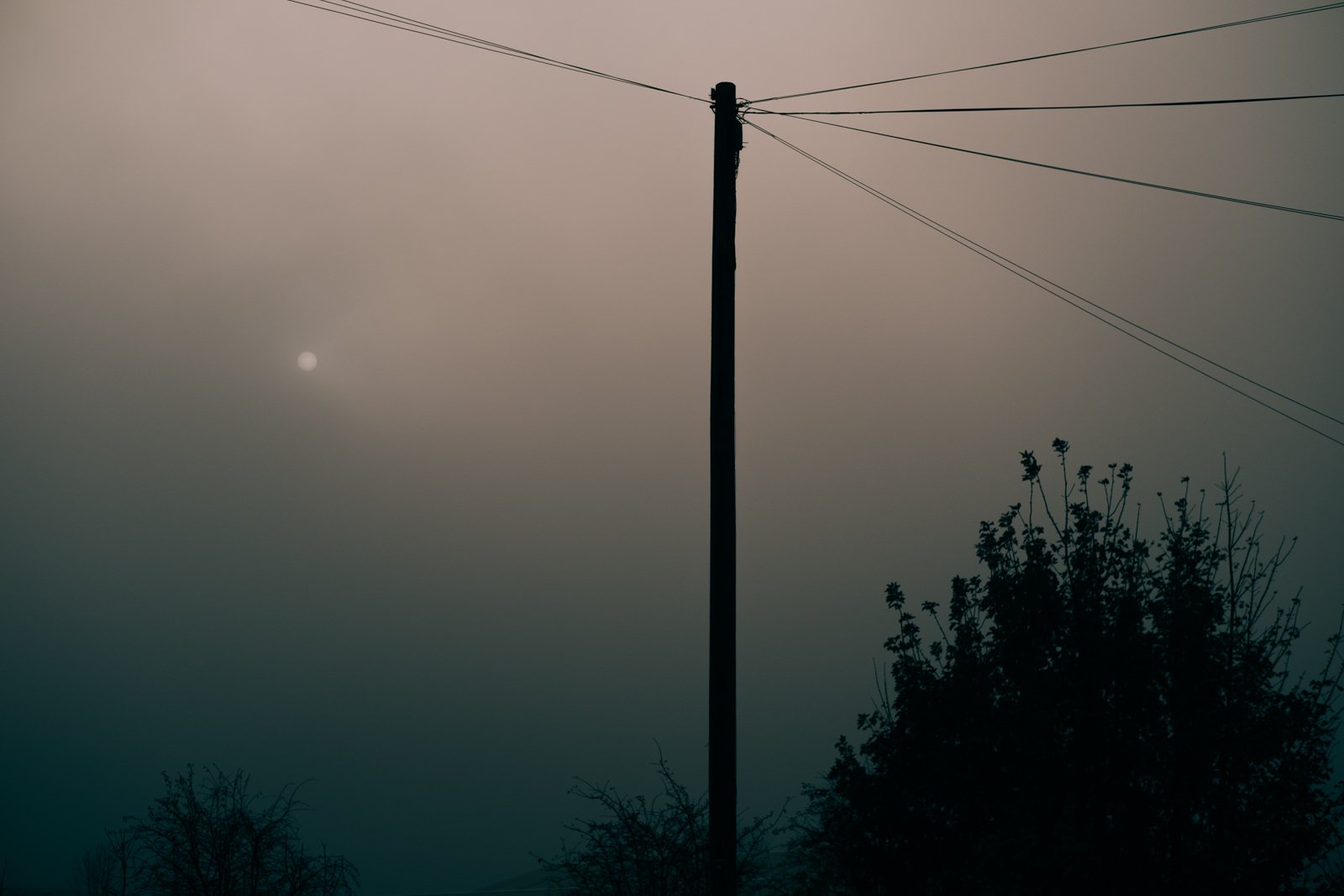 A misty evening on a treet