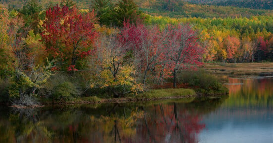 A serene autumn landscape featuring a colorful array of trees with red, yellow, and orange leaves along the edge of a calm lake. The vibrant foliage is reflected on the clear water, with a distant backdrop of forested hills under a partly cloudy sky.