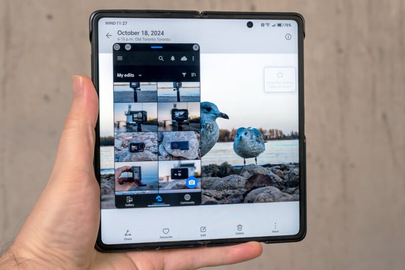 A person holds an open foldable smartphone showing a photo editing app. The screen displays images of seagulls on a rocky beach. The phone border is black, and the background is a plain, light-colored wall.