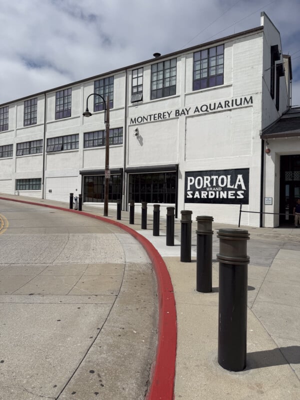 A white building with "Monterey Bay Aquarium" written on the upper part and "Portola Brand Sardines" on the lower part. The building features large windows and a vintage look. A red curb and black bollards line the curved street in front of the building.