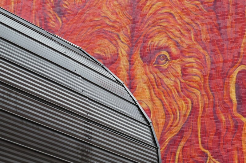 A vibrant mural of a fiery red and orange lion's face is painted on a brick wall. In the foreground, there is a curved metal structure with horizontal ridges, partially obscuring the mural. The lion's intense gaze is the focal point of the artwork.