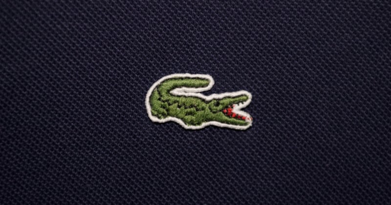 An embroidered green crocodile emblem with an open red mouth is sewn onto a textured dark blue fabric background.