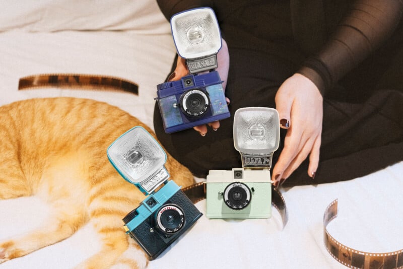 A person sits on a white surface with a ginger cat. Three vintage cameras with flash attachments are in focus. Film strips are scattered around, adding a nostalgic feel to the scene.