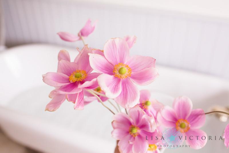 Pink flowers next to a milk bath