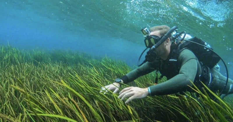 The OctoMask Is Great for Scuba Diving