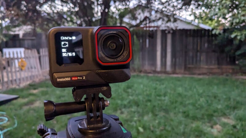 A camera mounted on a tripod in a backyard, showing its digital display. The yard has a green lawn, trees, and a wooden fence in the background. The light suggests early evening or late afternoon.